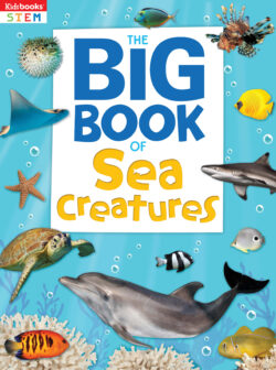 The Big Book of Sea Creatures