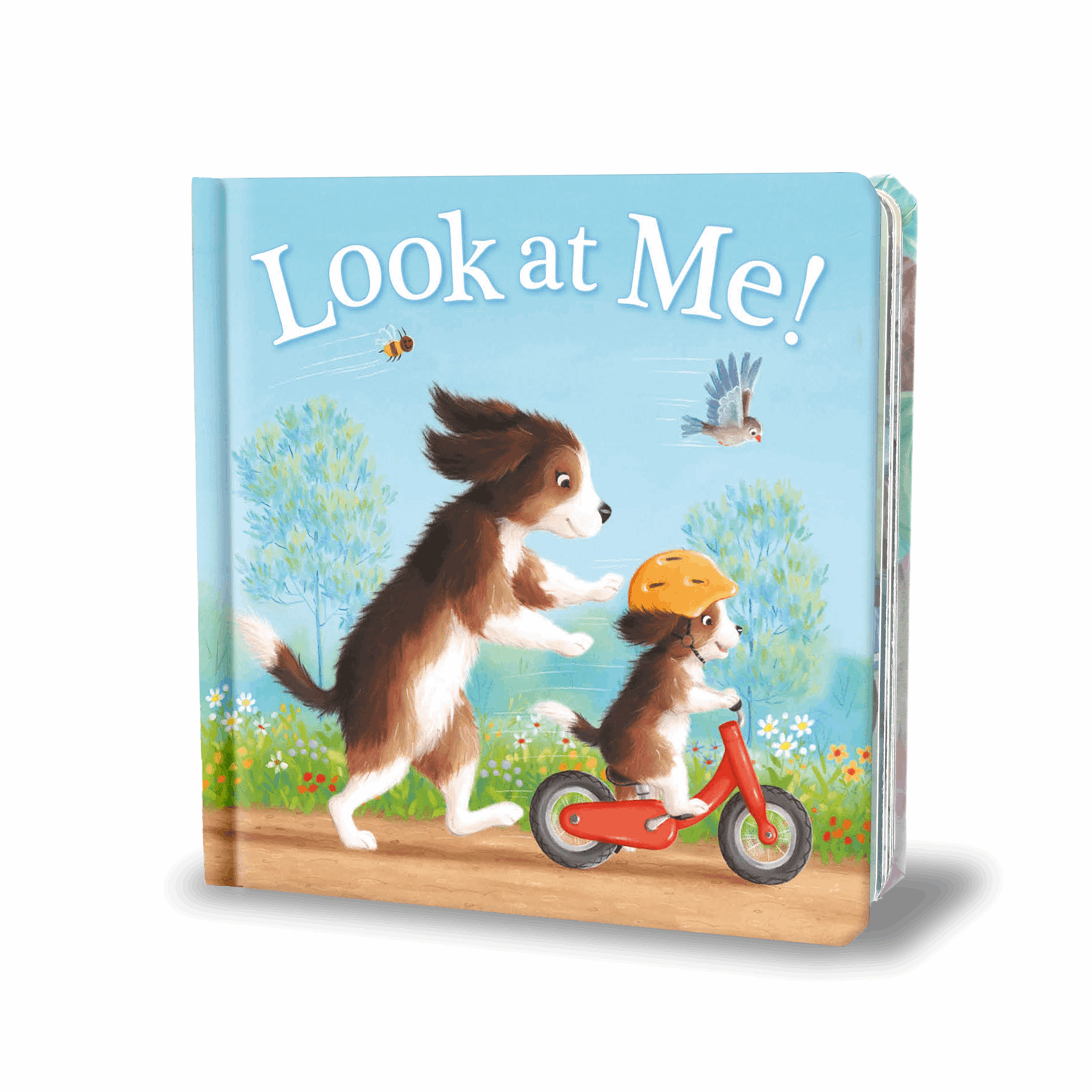 Look at Me | Kidsbooks Publishing