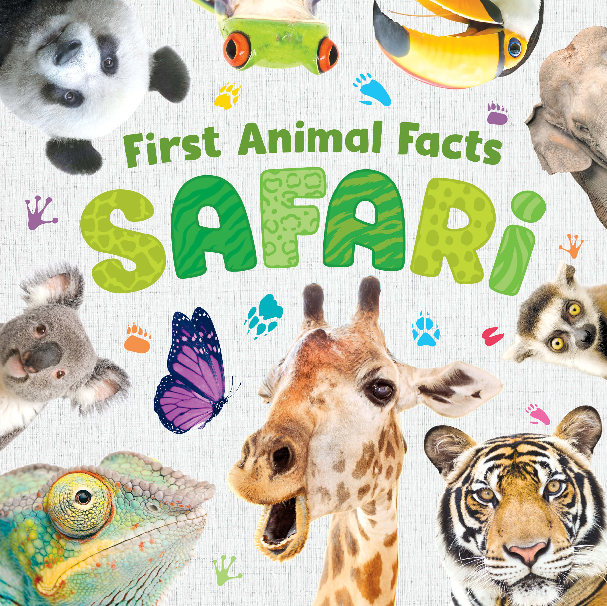 First Animal Facts: Safari