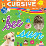 My Big Wipe-Clean Book: Cursive