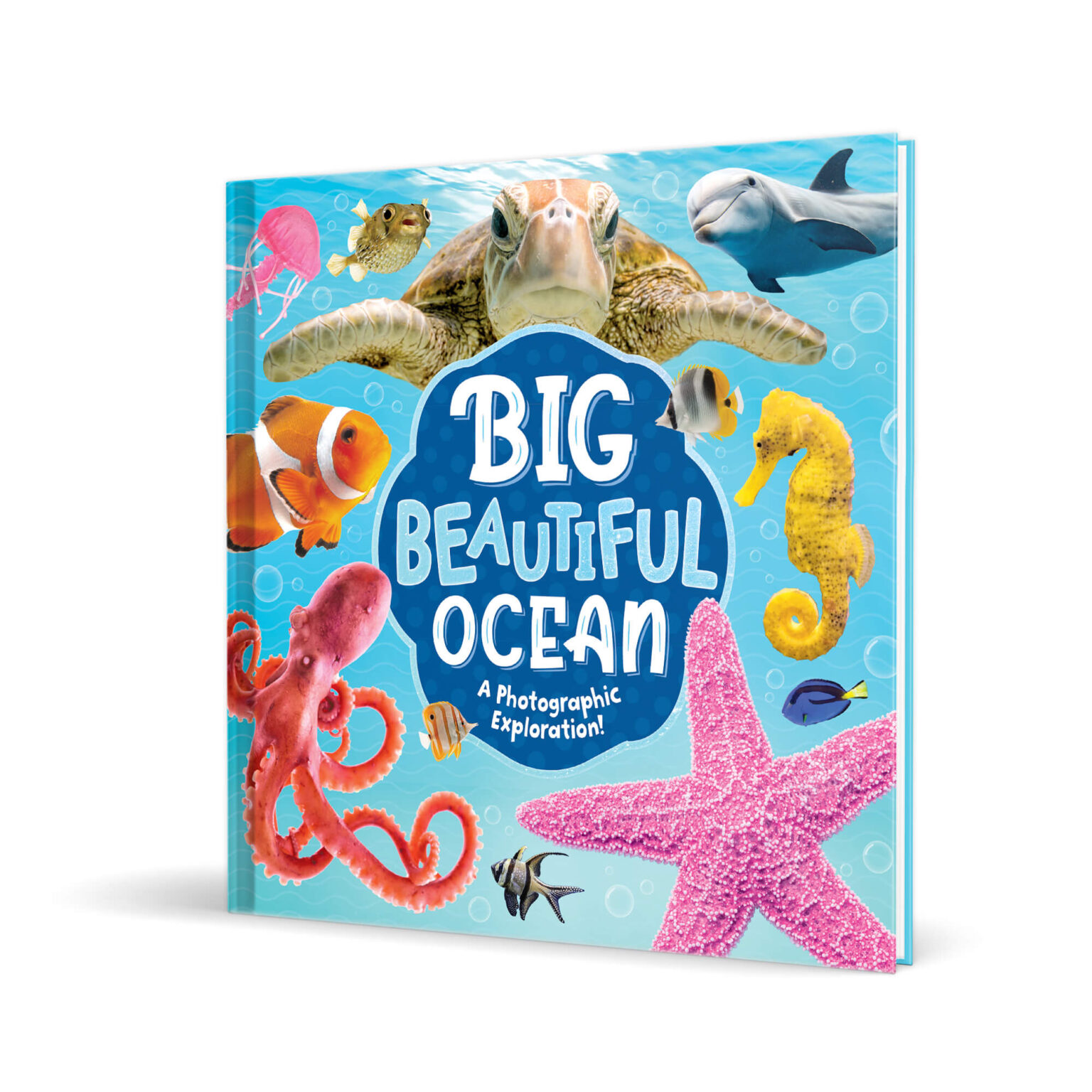 Big Beautiful Ocean | Kidsbooks Publishing