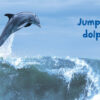 Big Beautiful Ocean - Image 4