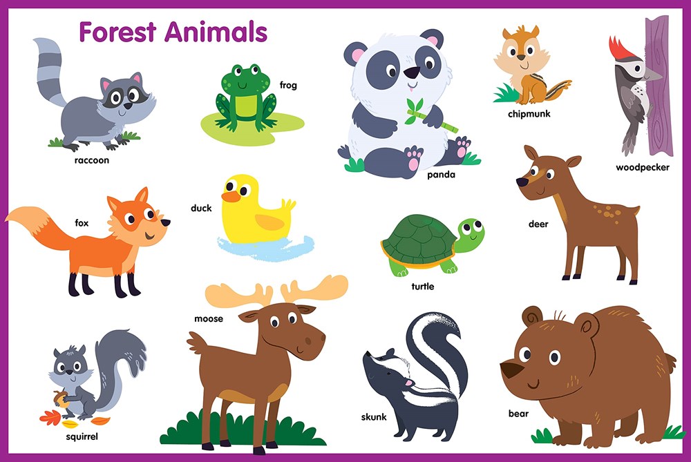 Listen & Learn Animals | Kidsbooks Publishing