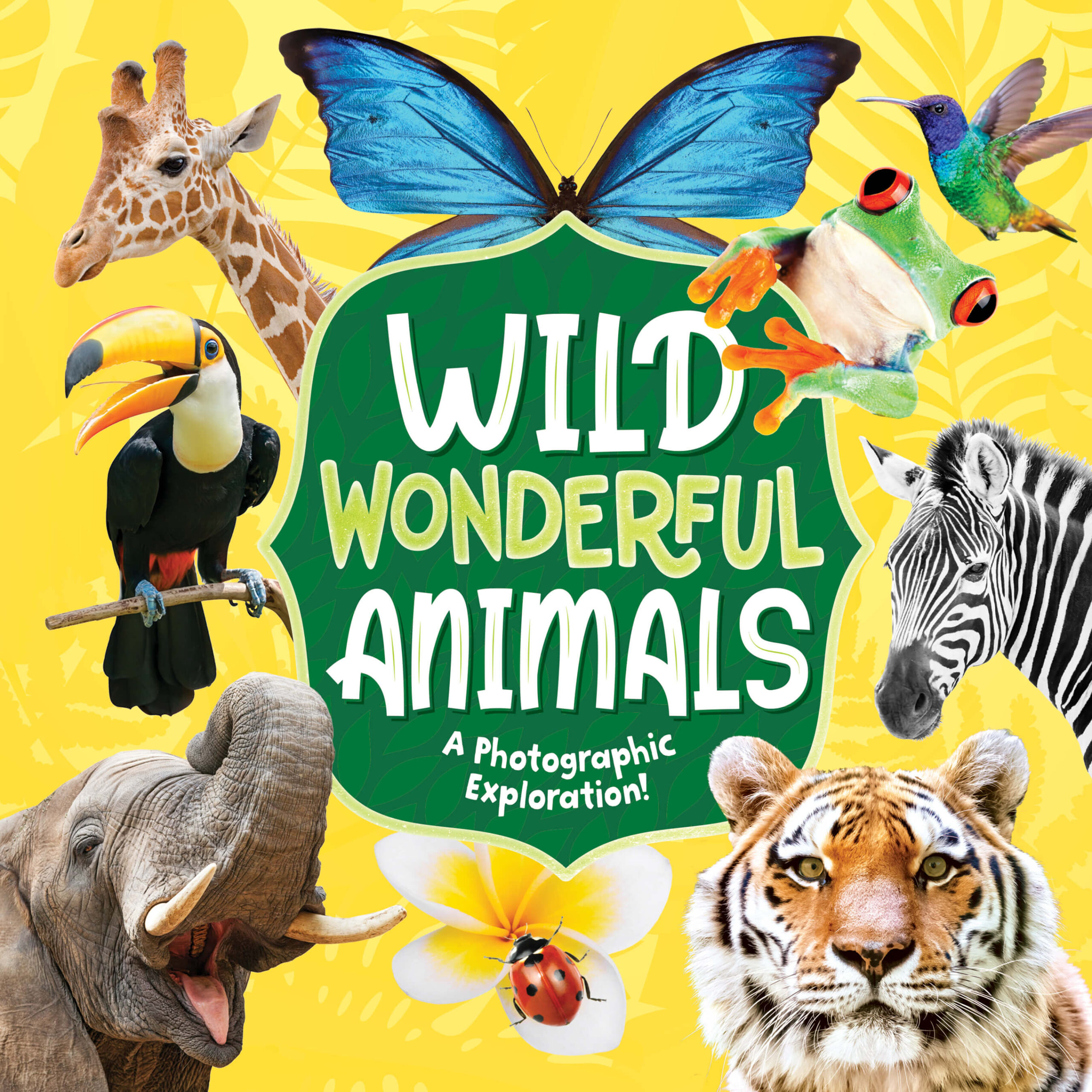 Wild Wonderful Animals 1 Wild Wonderful Animals